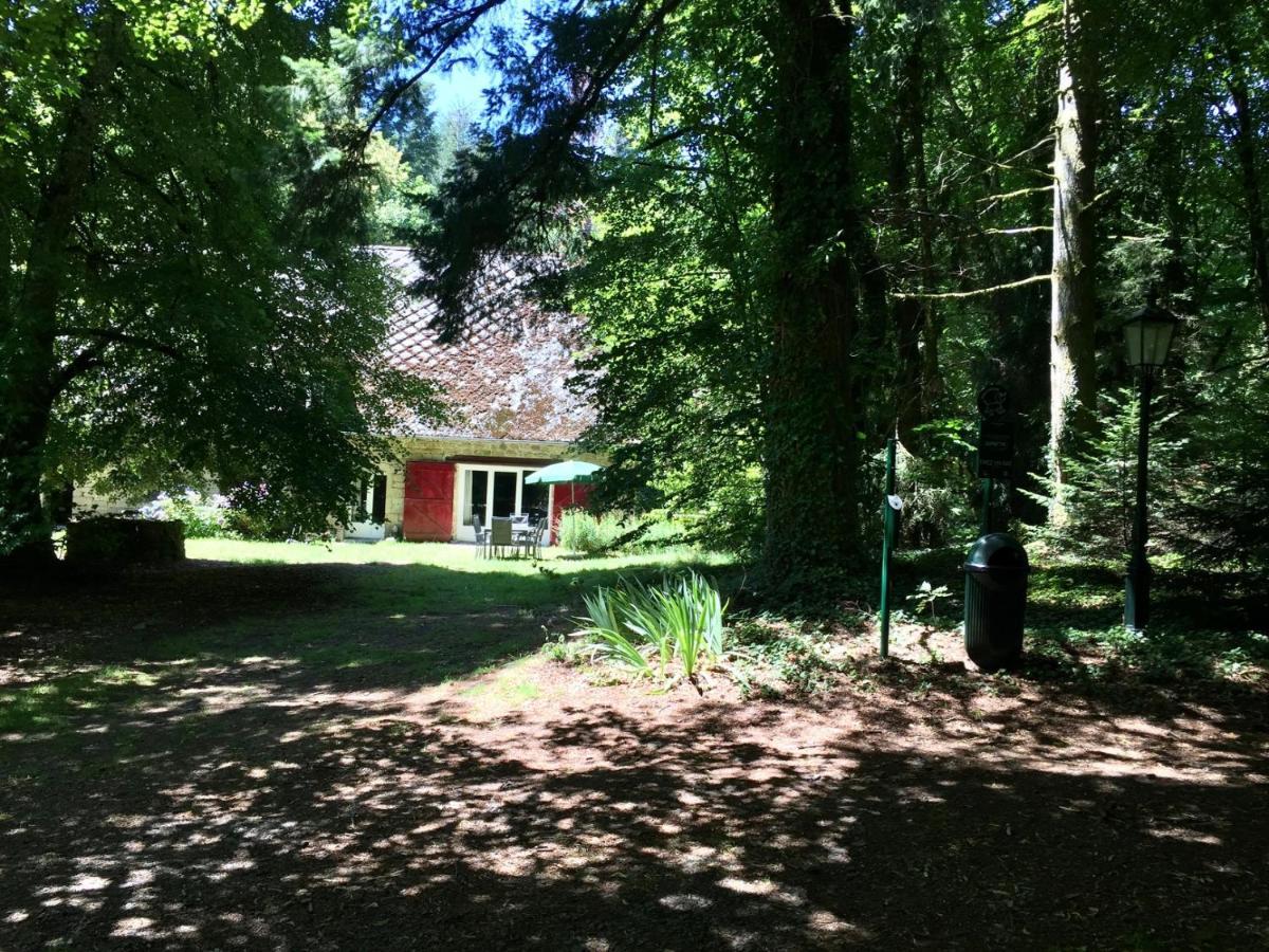 Gites Chateau Le Bois Saint-Julien-aux-Bois Exteriér fotografie