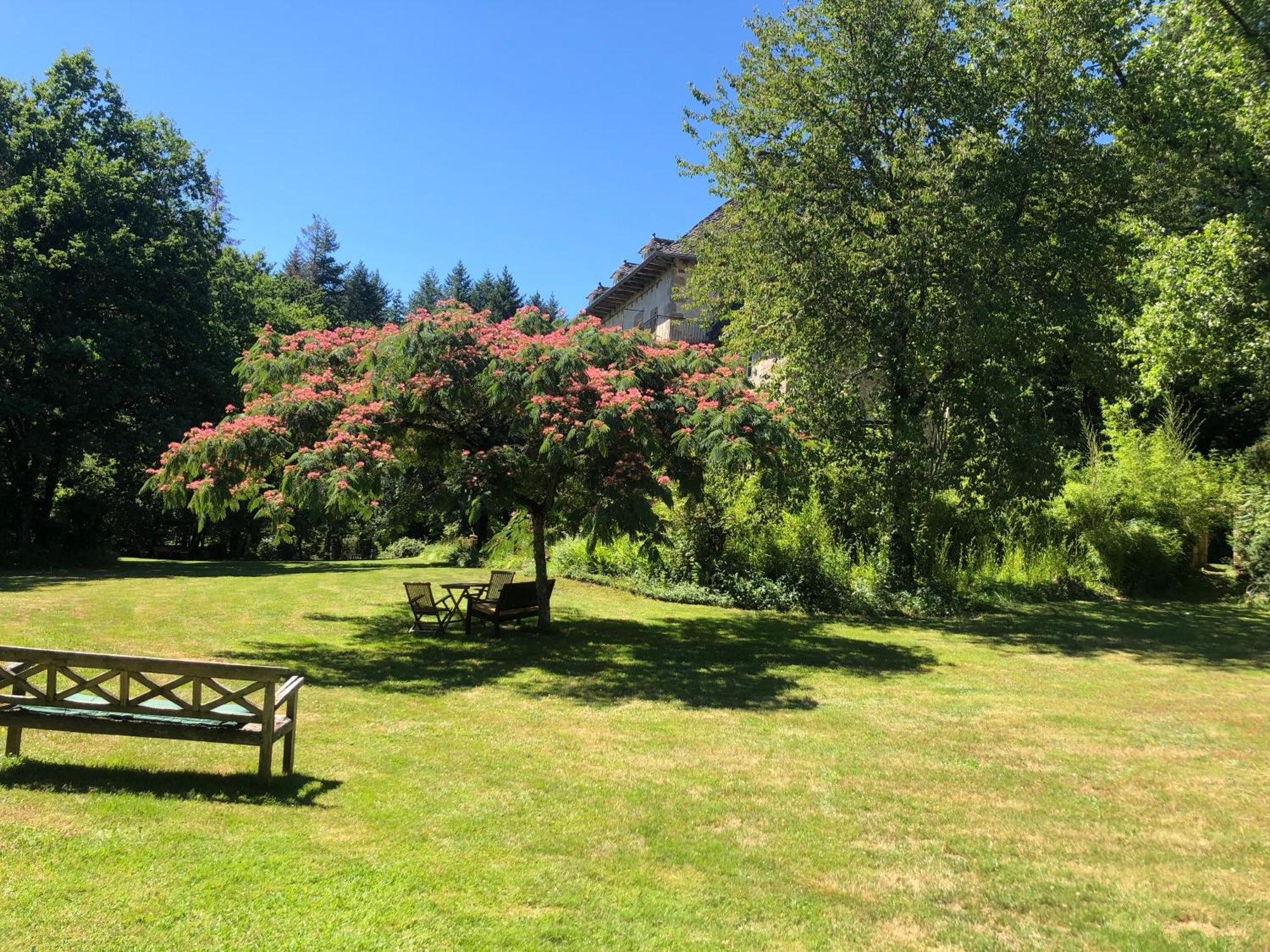 Gites Chateau Le Bois Saint-Julien-aux-Bois Exteriér fotografie