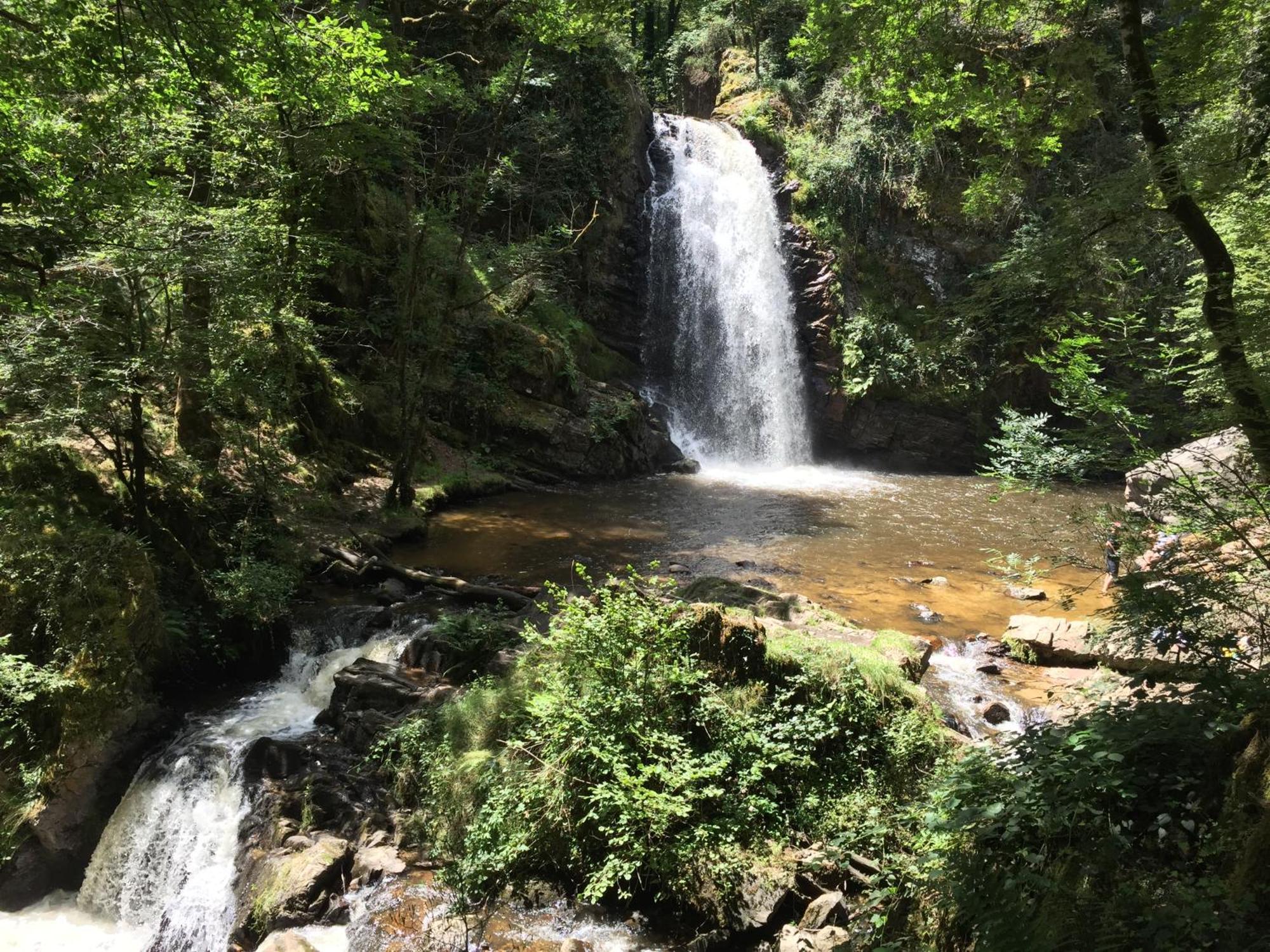 Gites Chateau Le Bois Saint-Julien-aux-Bois Exteriér fotografie