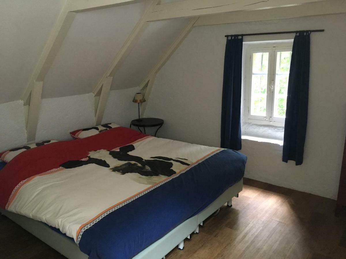 Gites Chateau Le Bois Saint-Julien-aux-Bois Exteriér fotografie