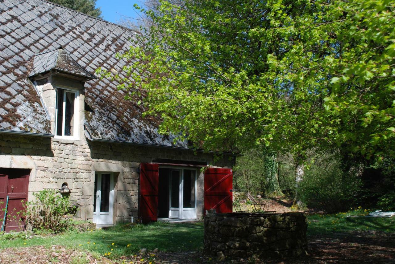 Gites Chateau Le Bois Saint-Julien-aux-Bois Exteriér fotografie