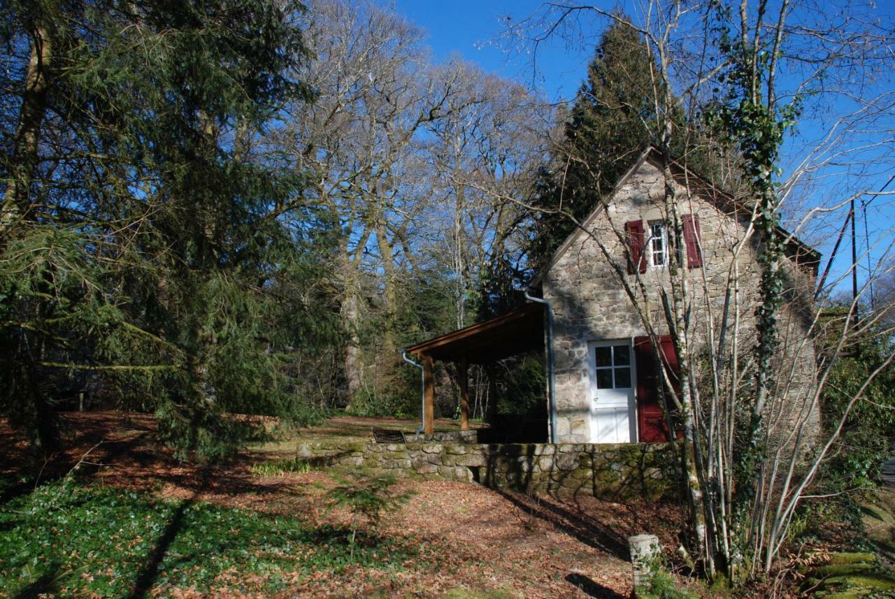 Gites Chateau Le Bois Saint-Julien-aux-Bois Exteriér fotografie